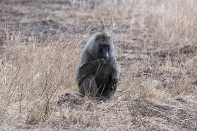 DSC_4041 (Large).JPG